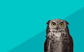 Lange Nacht der Unternehmen 2026